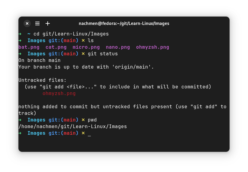 Ohmyzsh-workflow